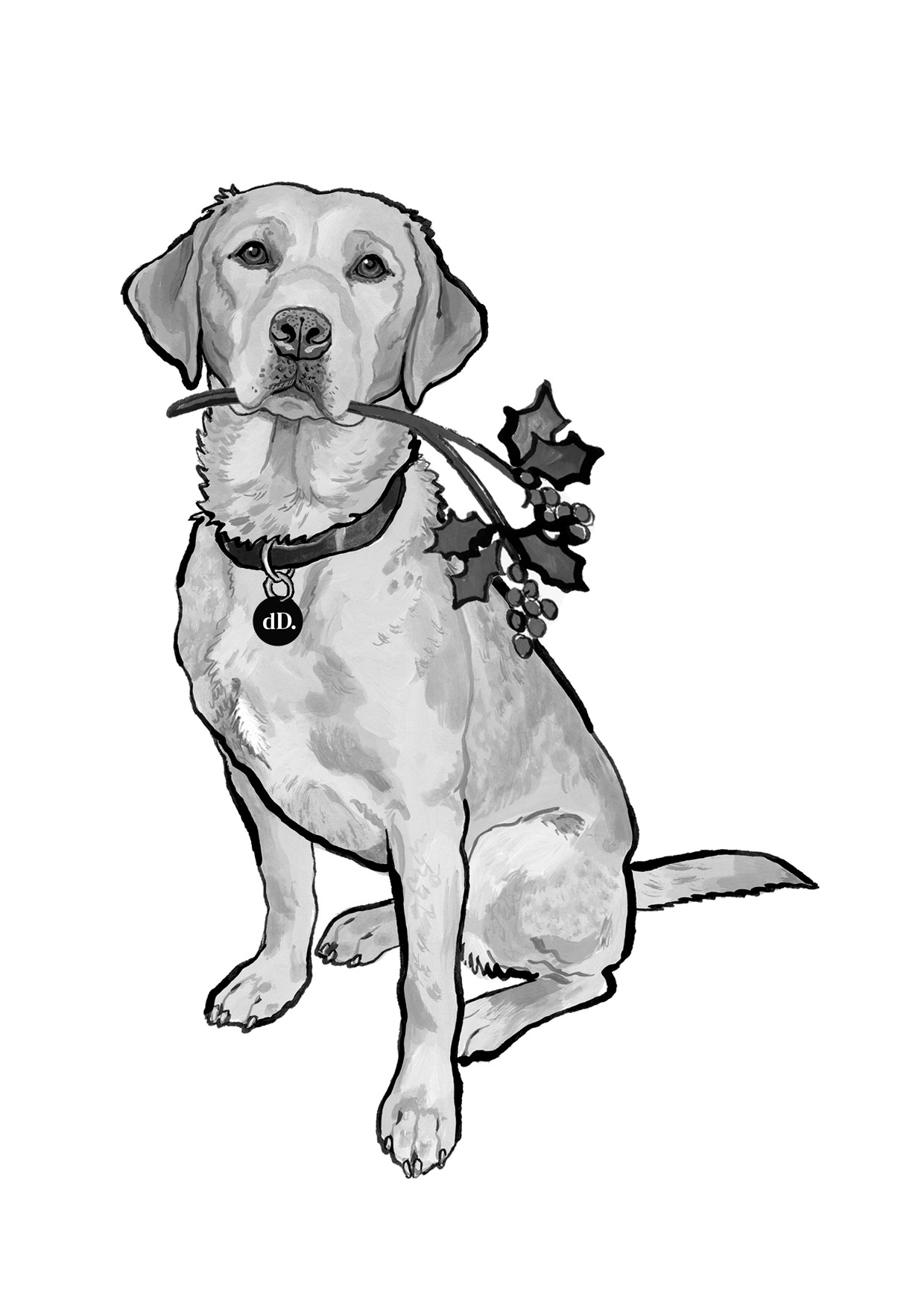 Albert (Albie), do Different.'s Labrador and Chief Canine Officer, holding a sprig of holly
